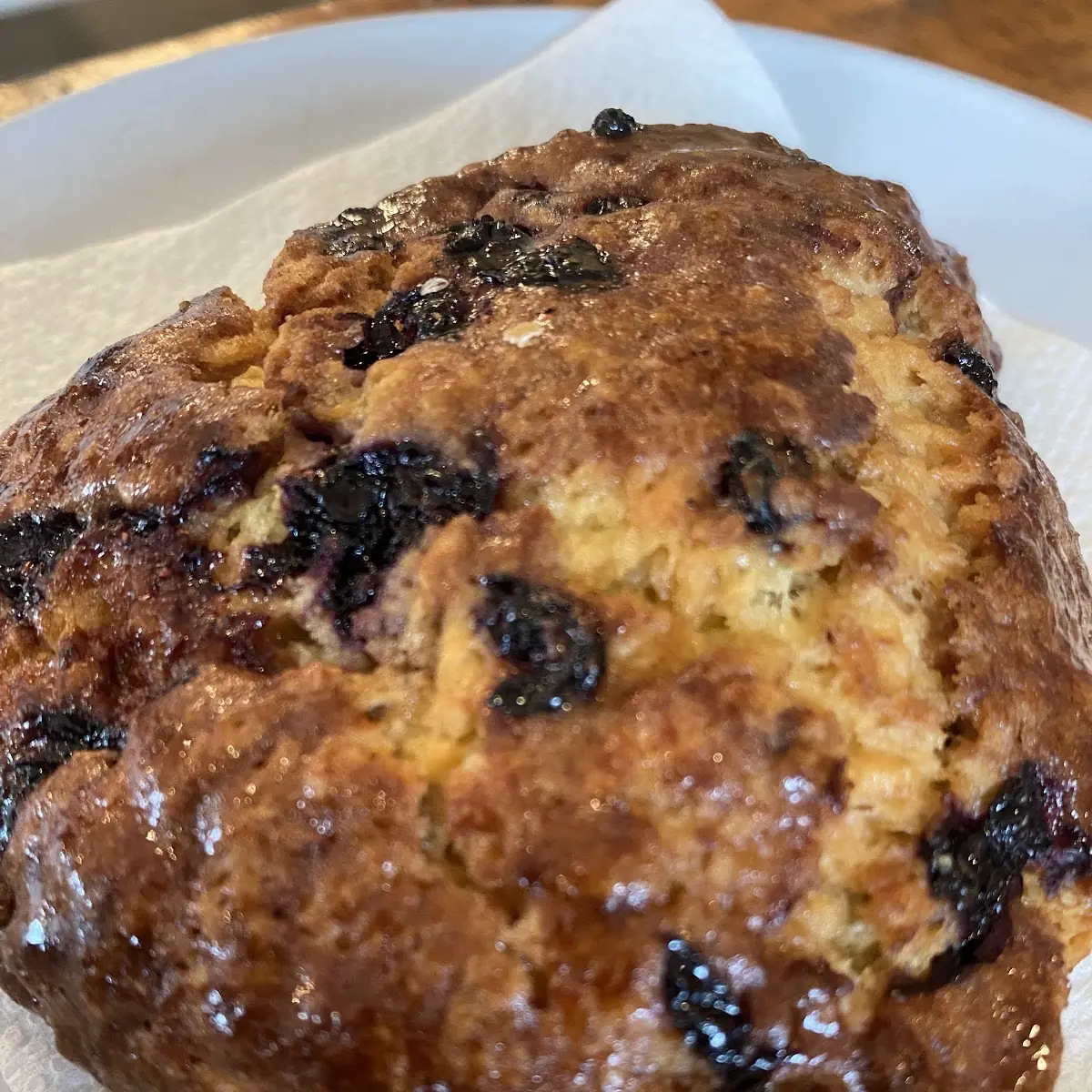 Blueberry Muffin