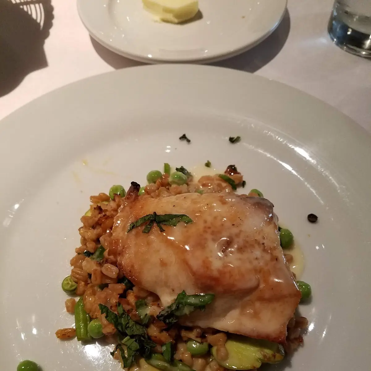 Sea Bass