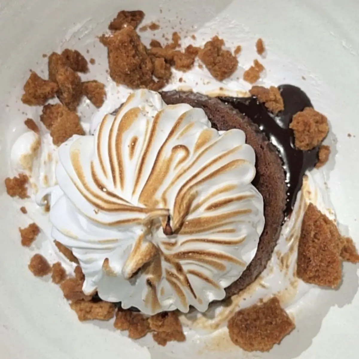 Chocolate Smores Cake a La Mode