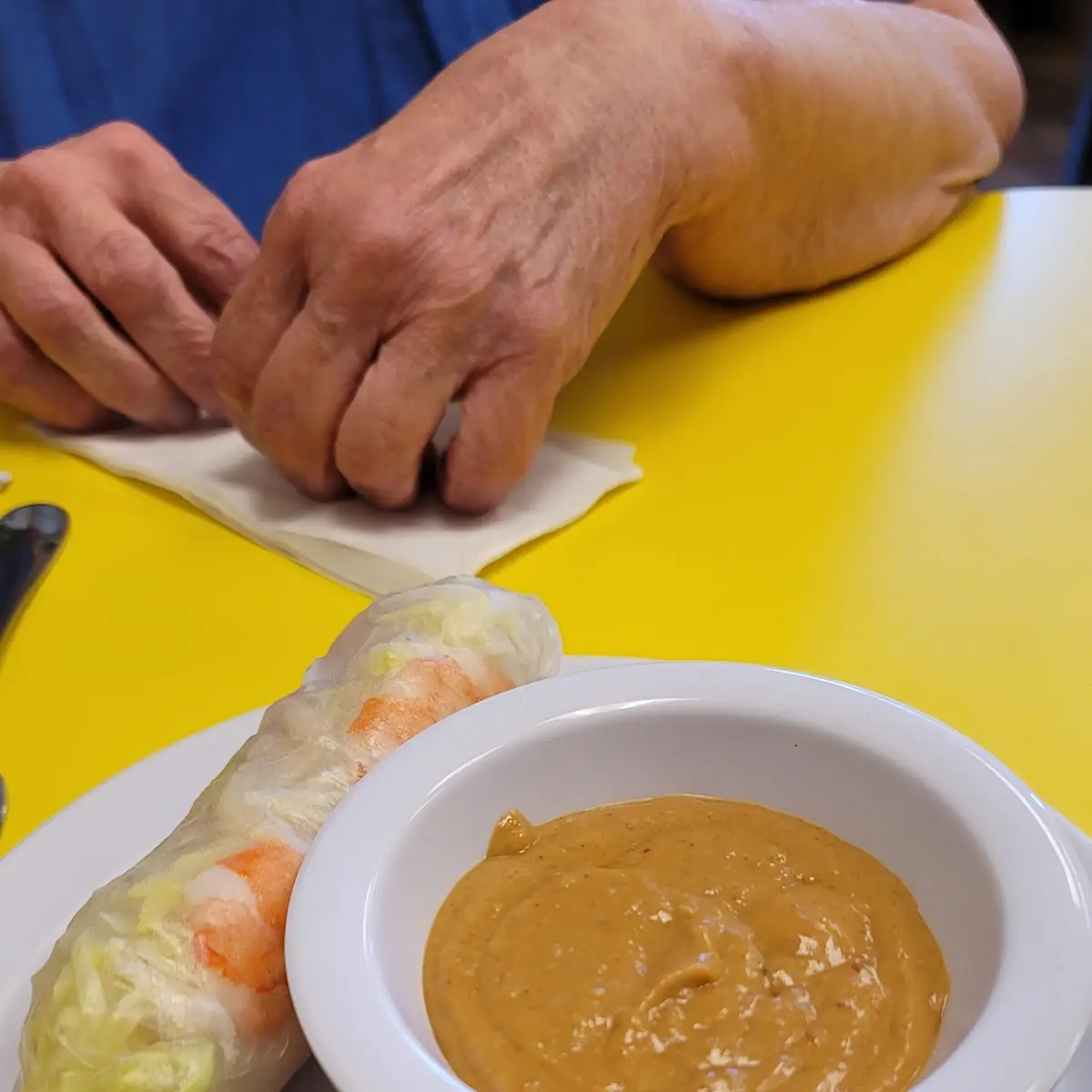 Fresh Spring Rolls