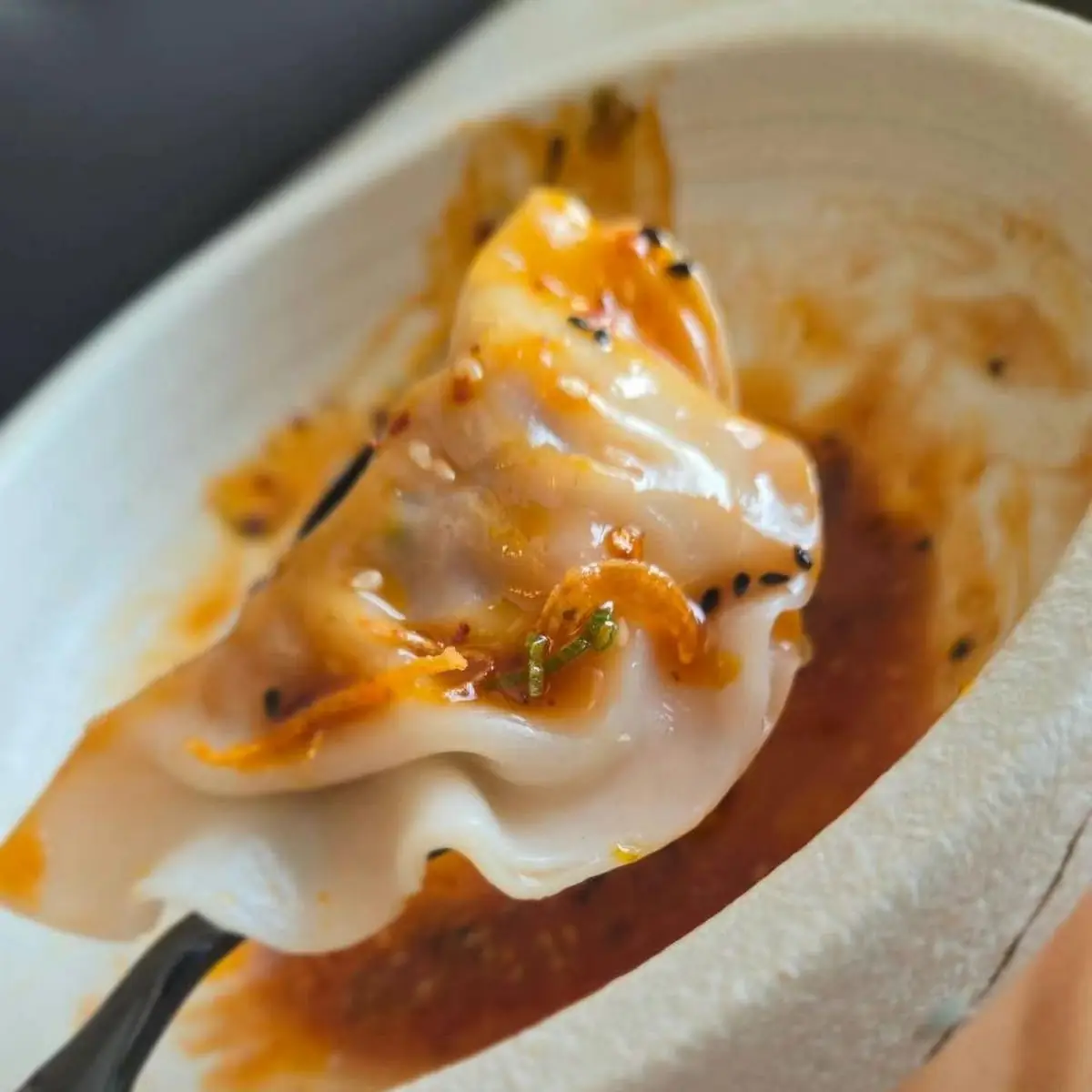 Fried Pork Dumpling(6)
