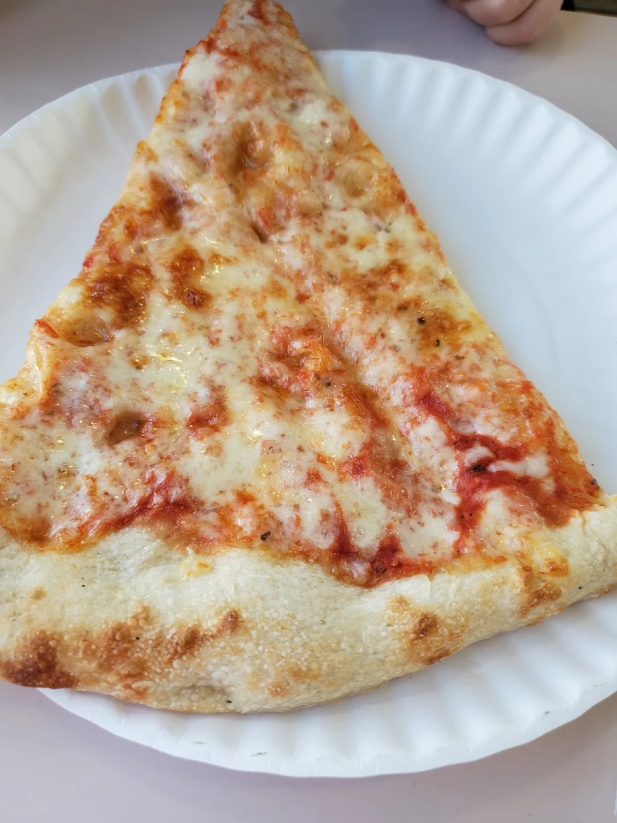 Plain Cheese Pizza