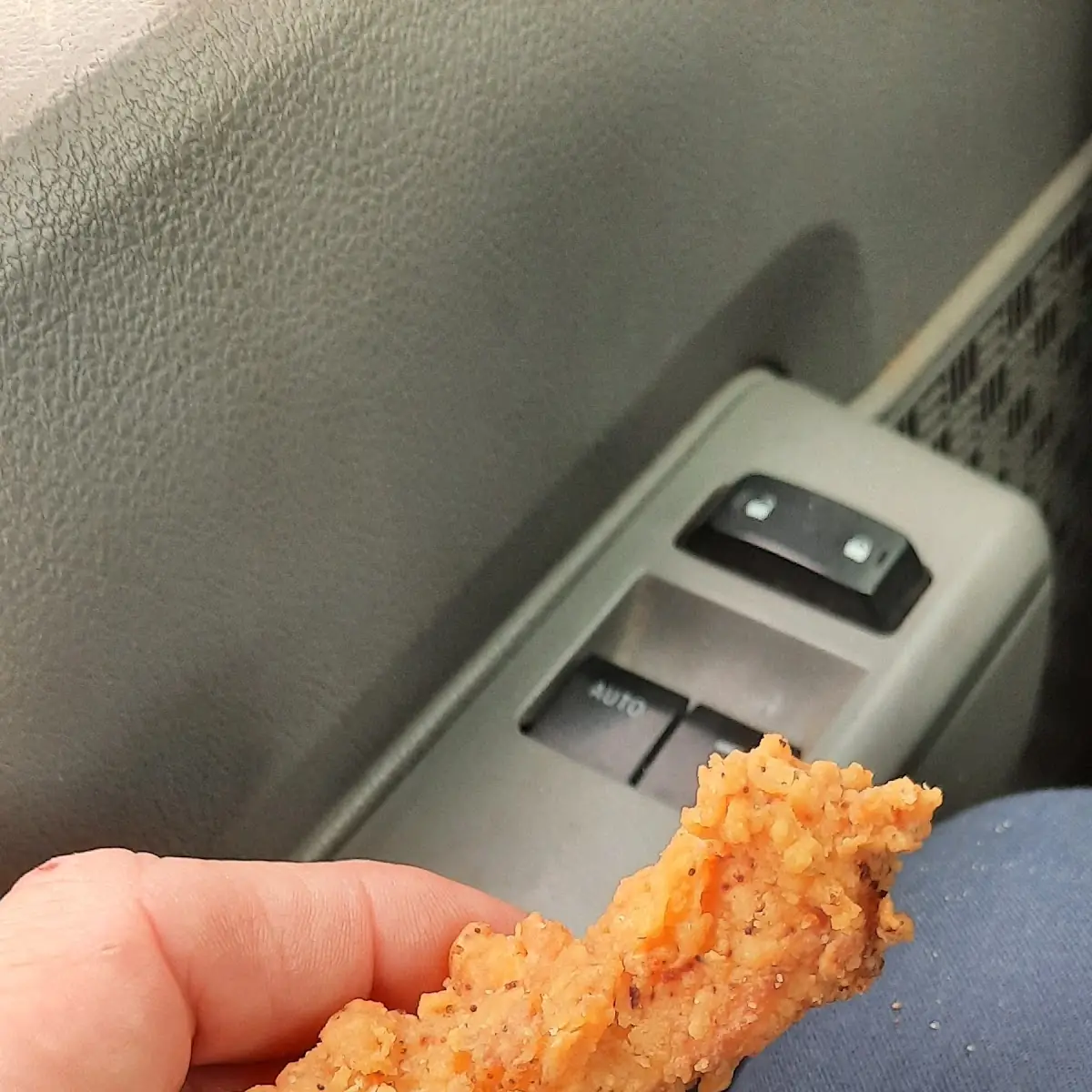 Chicken Strips