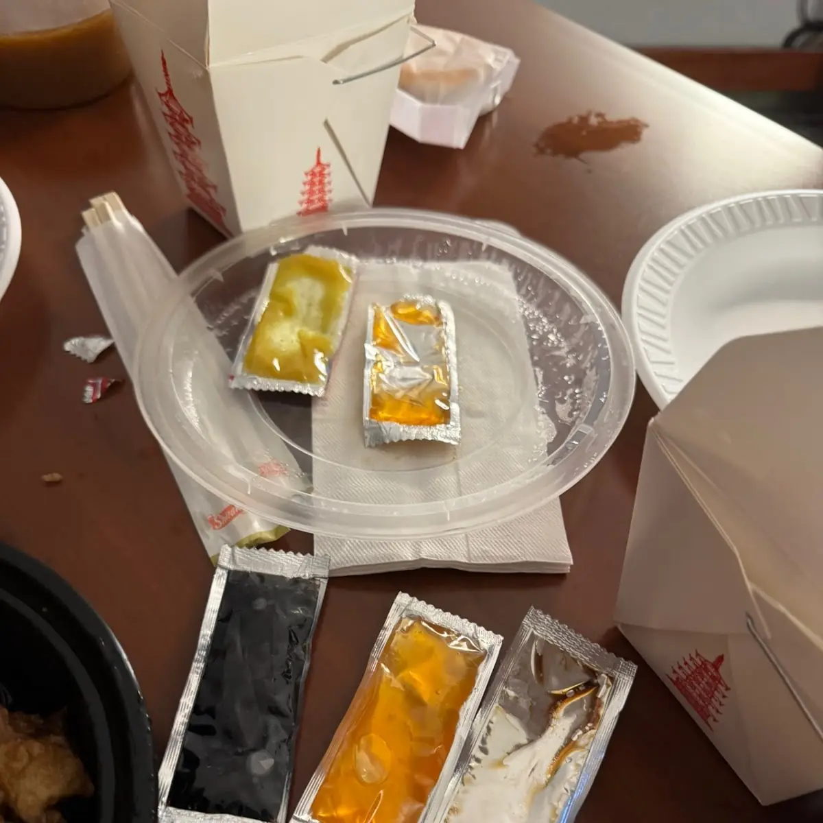 Two Spring Rolls