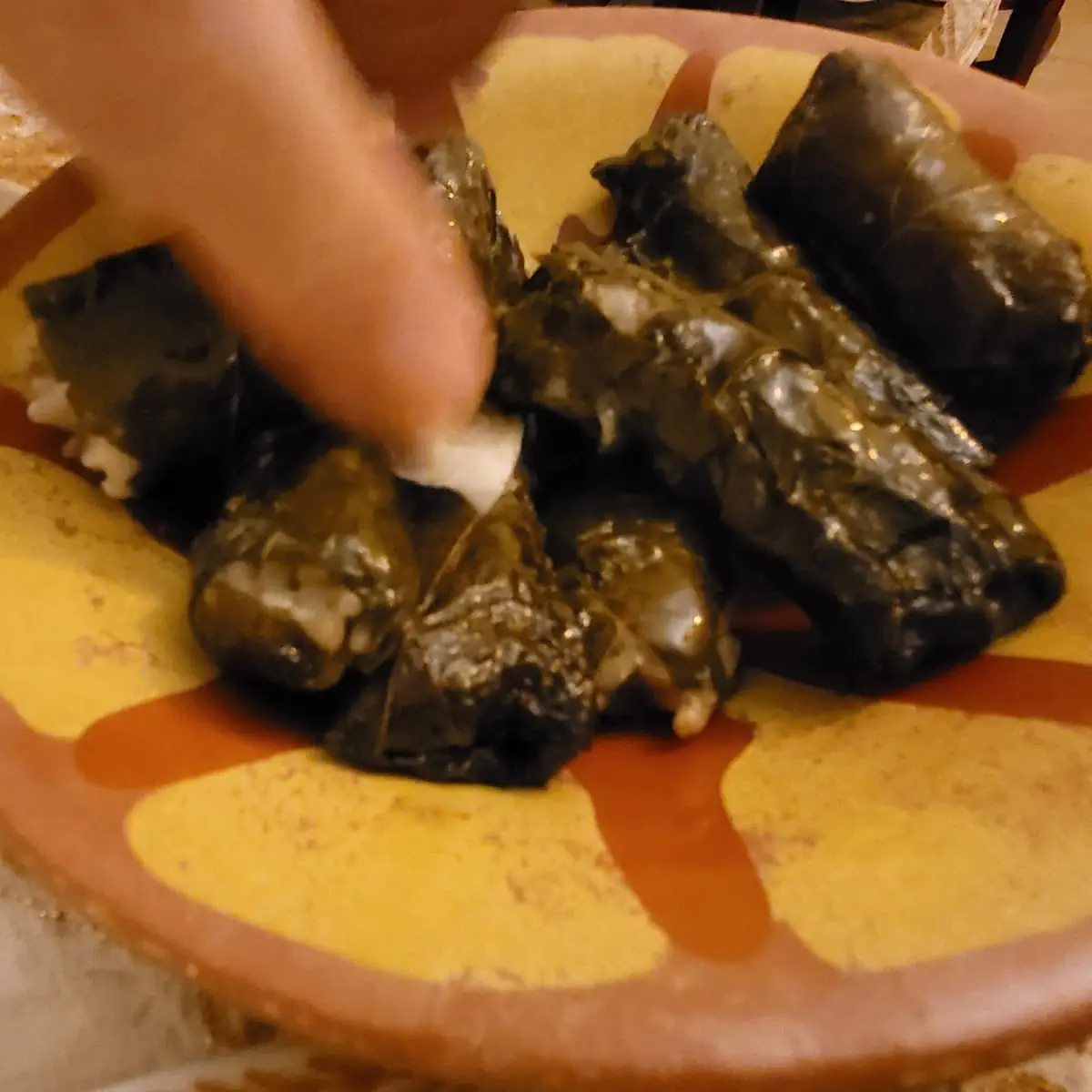 Vegetarian Grape Leaves