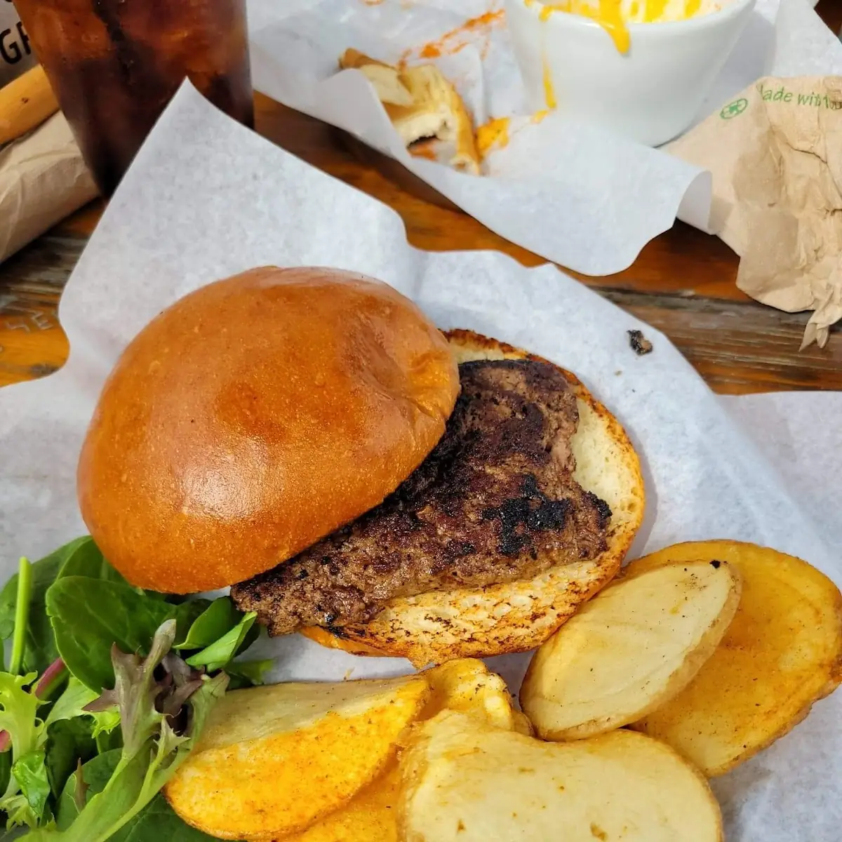Bison Burger