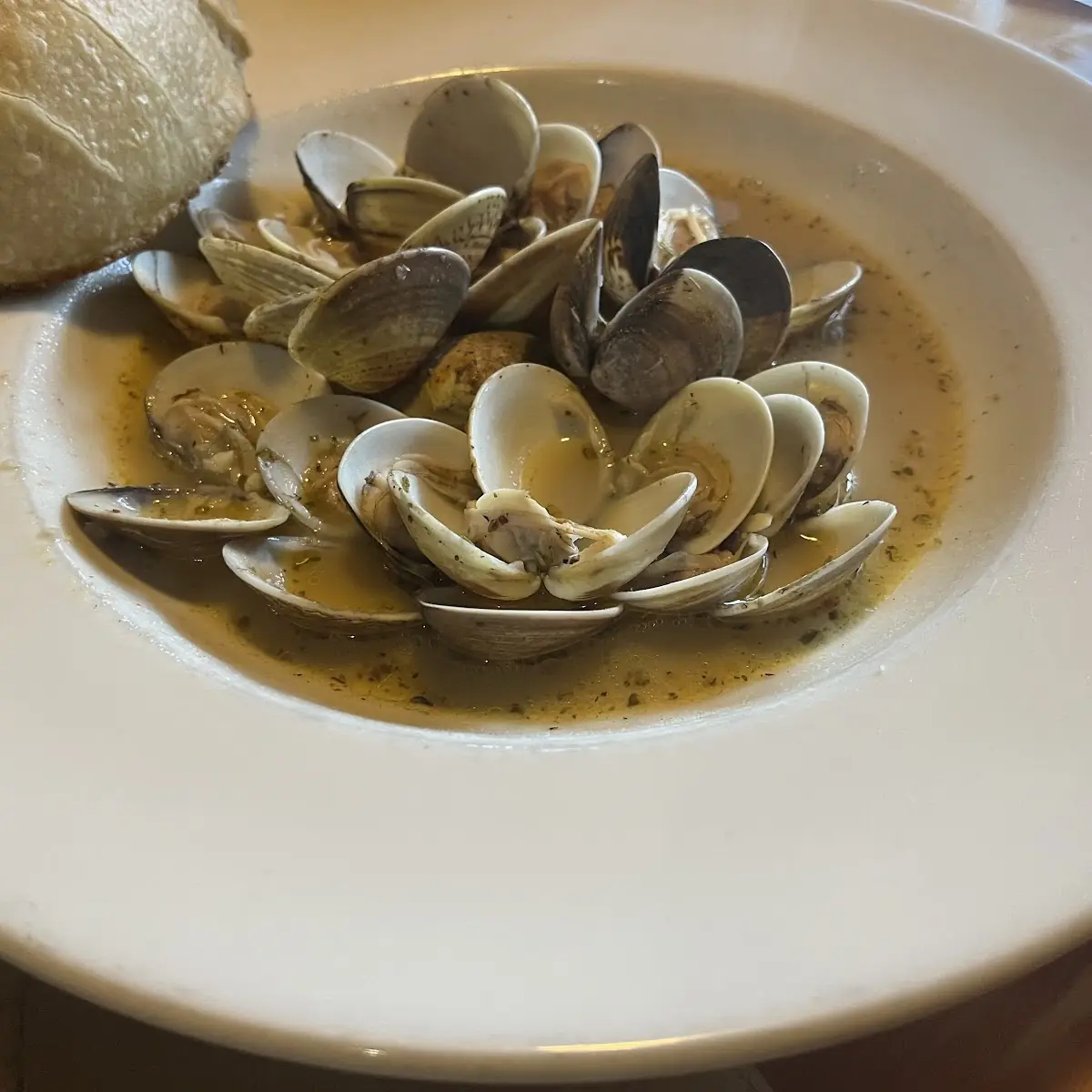 Steamer Clams