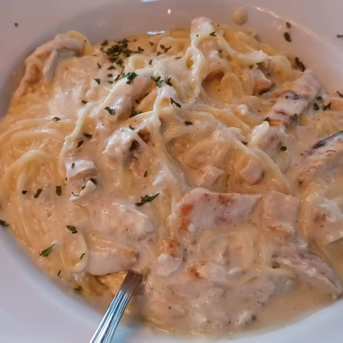 Chicken Alfredo