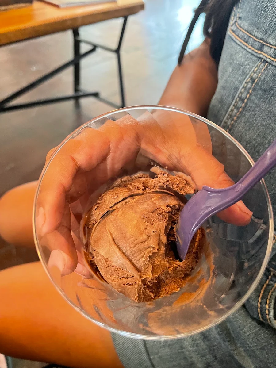 Chocolate Ice Cream