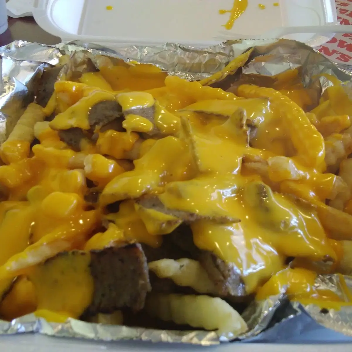 Gyros Cheese Fries