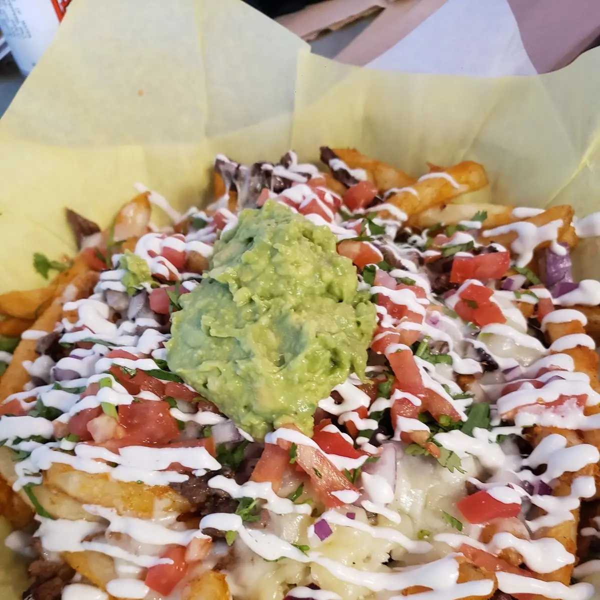 Carne Asada Fries