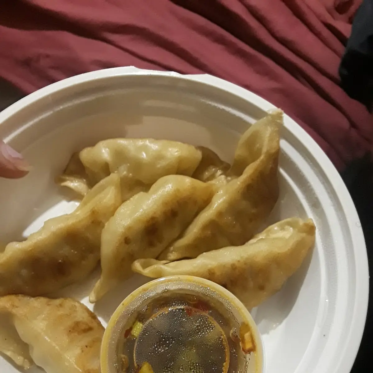 Steamed or Fried Dumplings 8