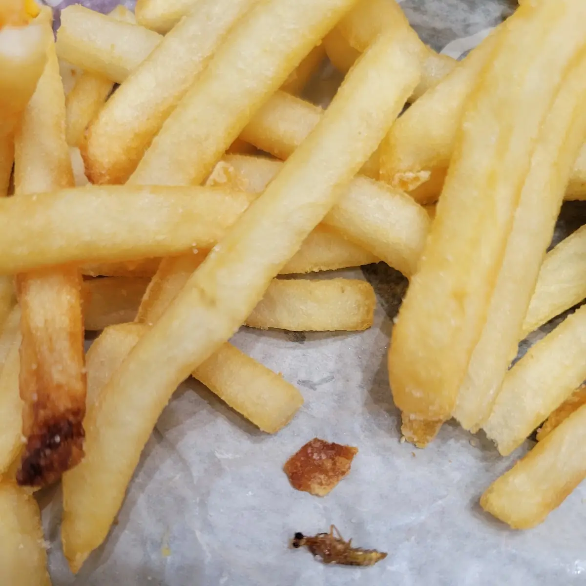 World Famous Fries