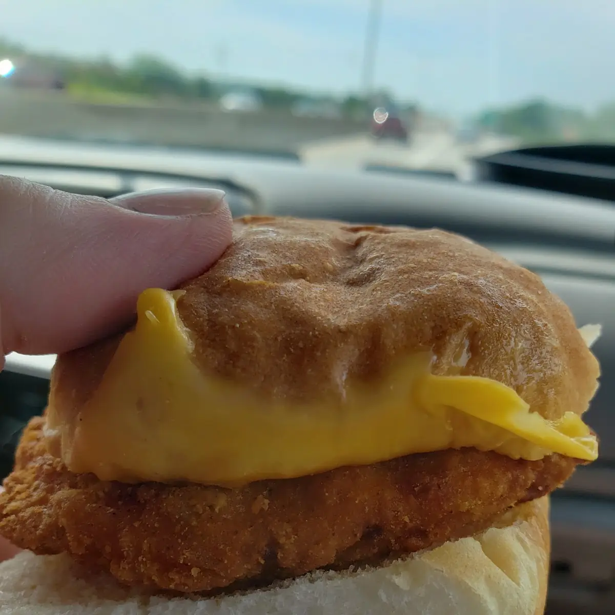 Panko Fish Sandwich