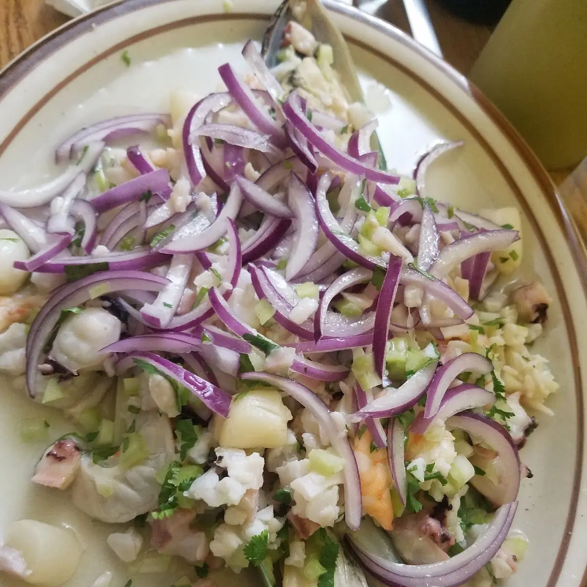 Ceviche Mixto