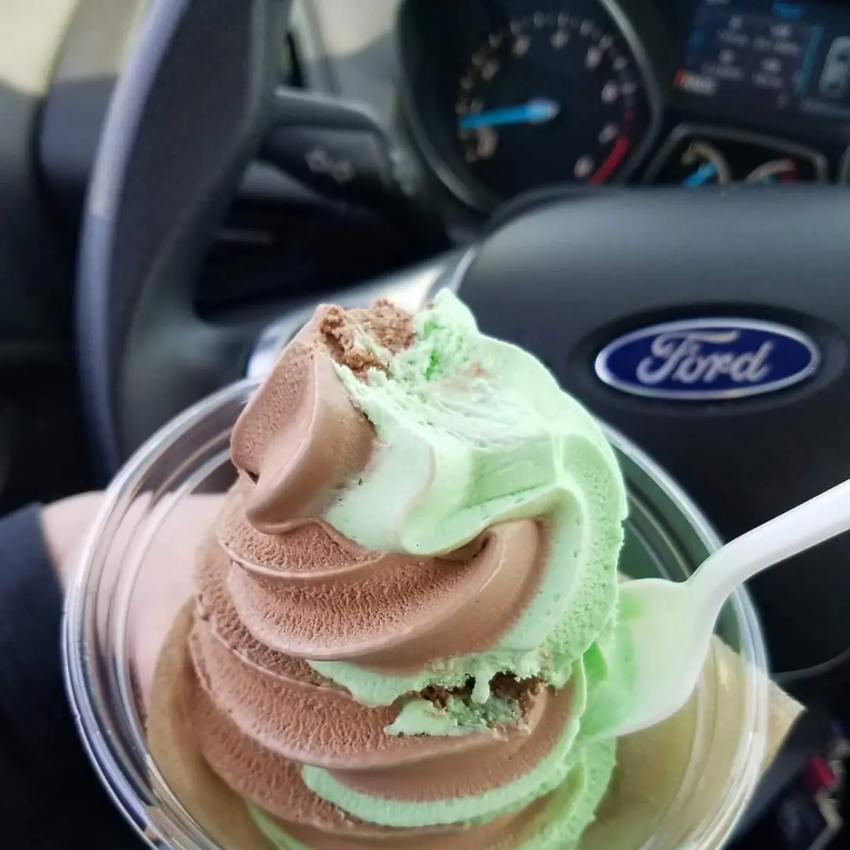 Mint Chocolate Twist