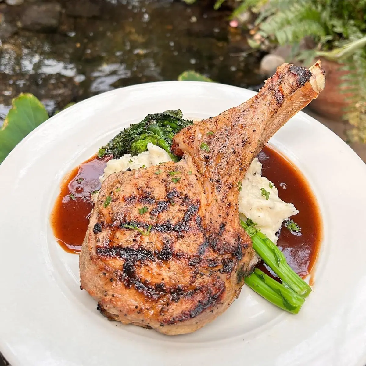 14 Ounce Frenched Pork Chop