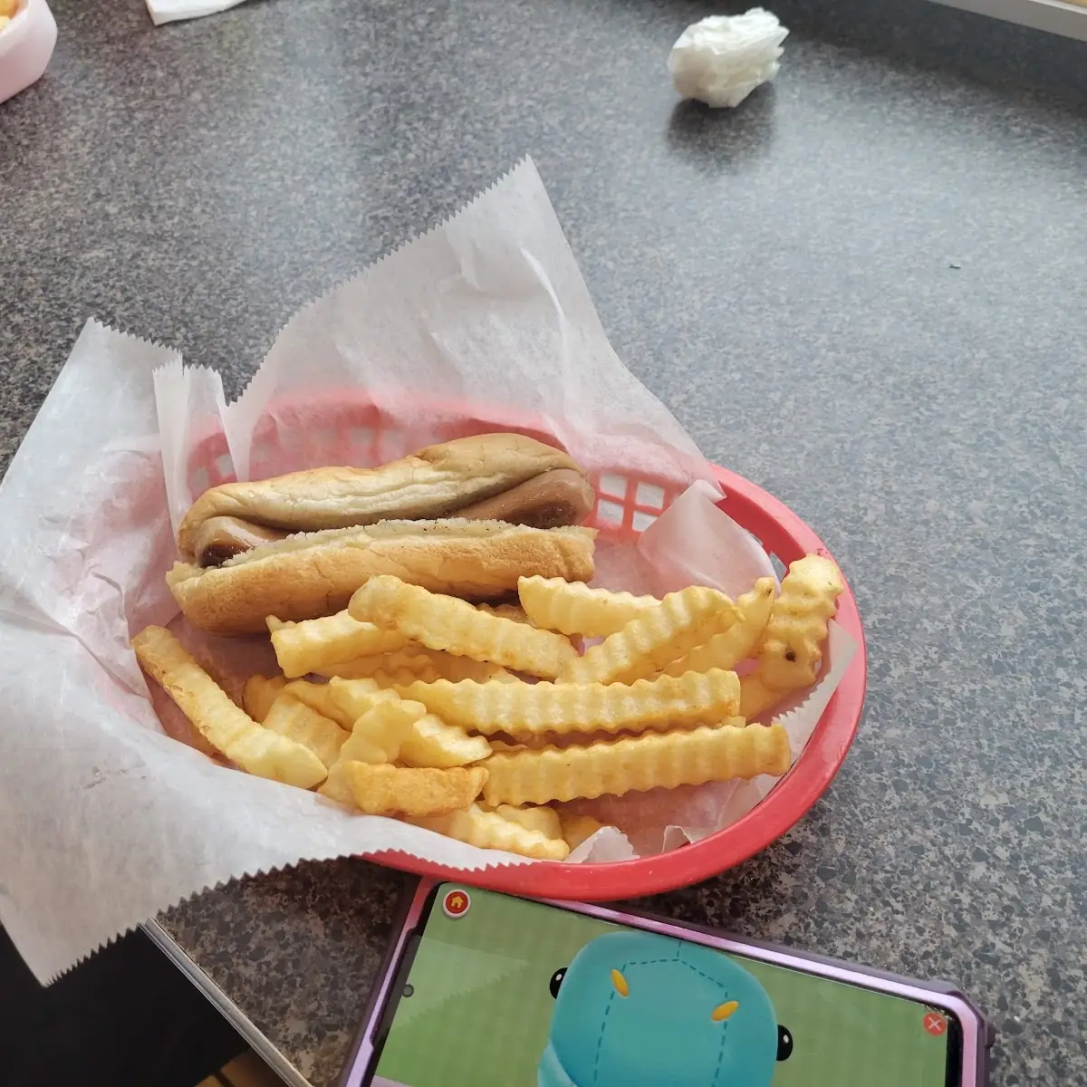 Hot Dog and Fries