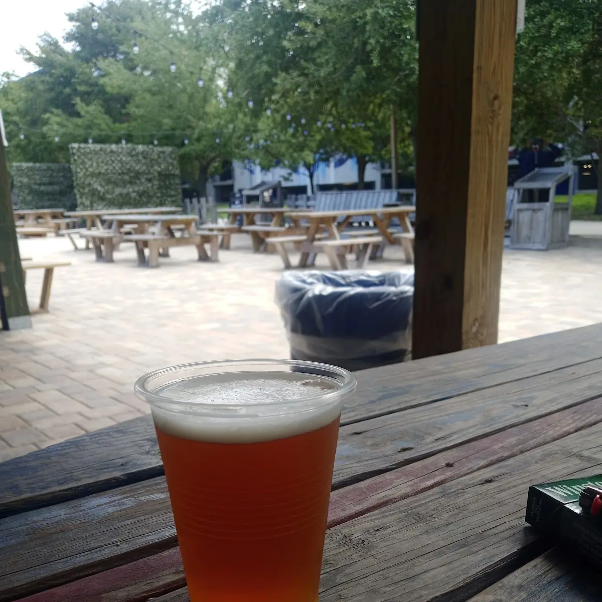 Cool Cucumber IPA