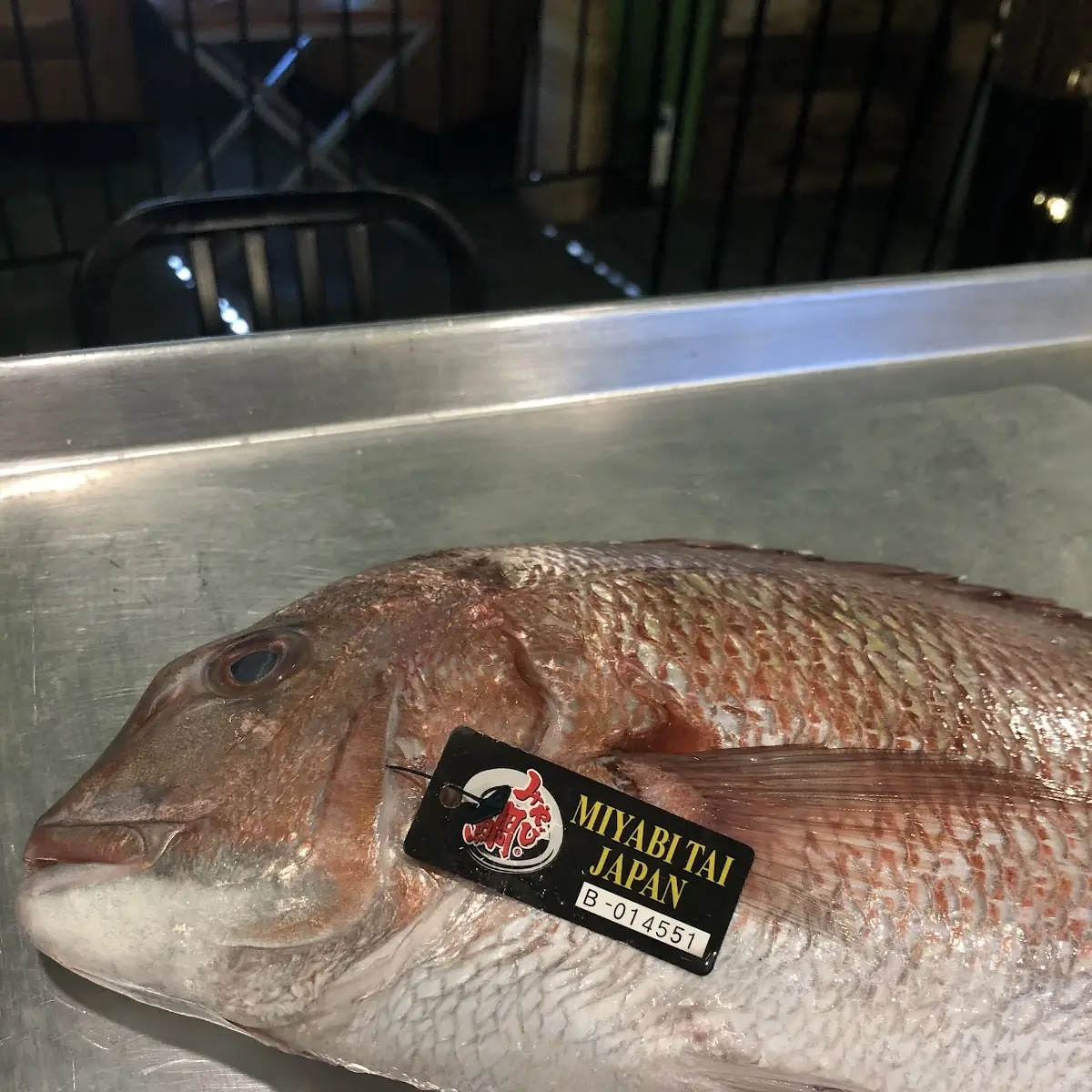 Red Snapper Madai