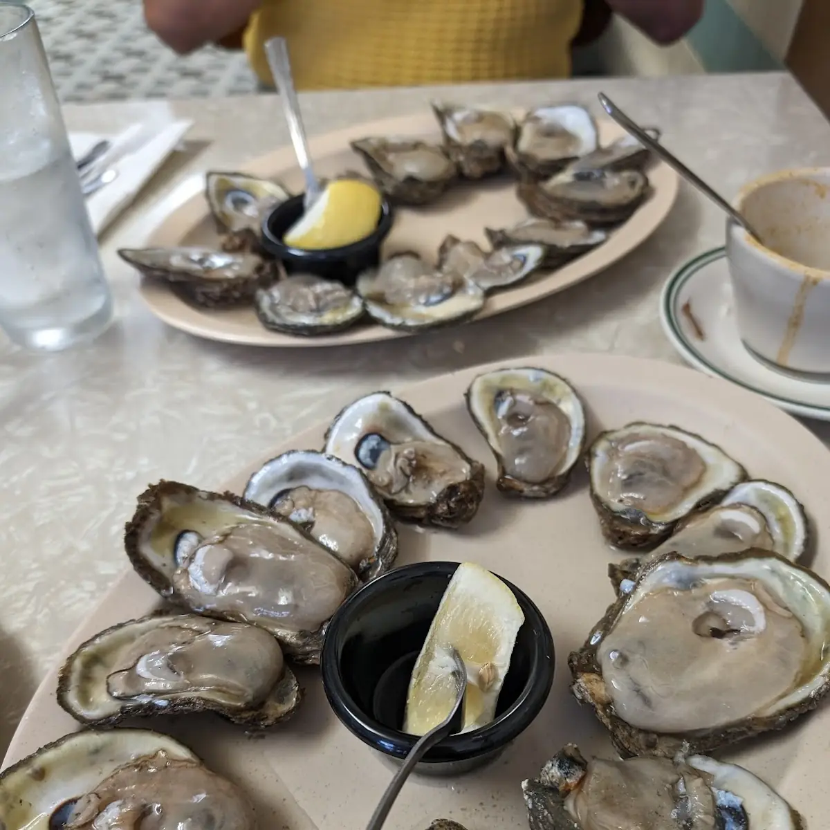 Fresh Oysters on the Half Shell