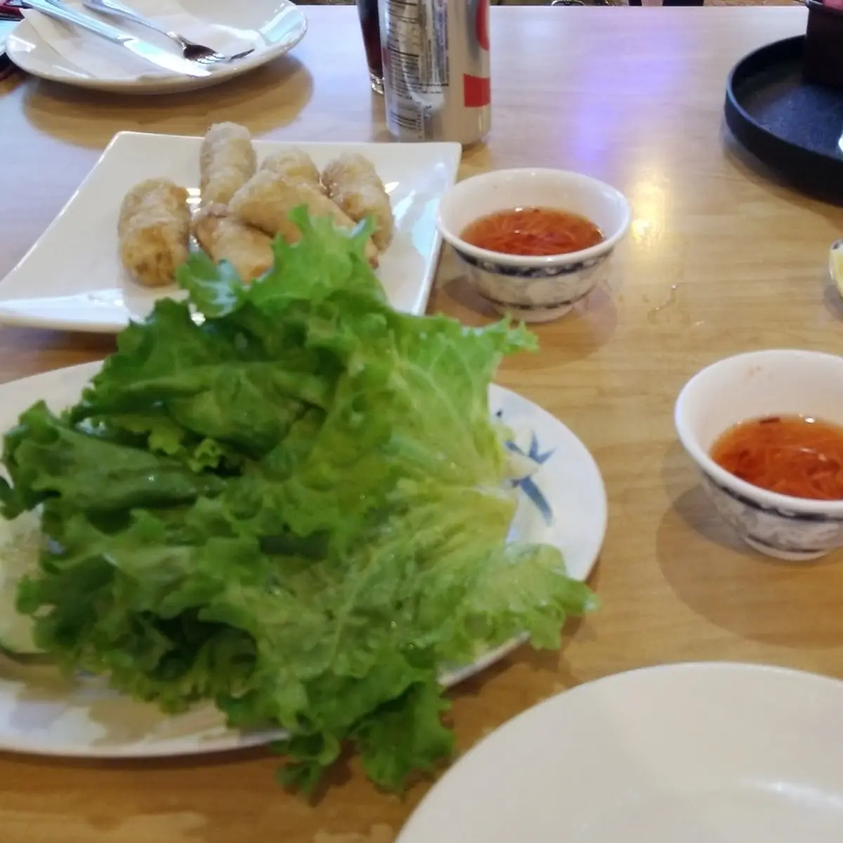 Vietnamese Spring Rolls