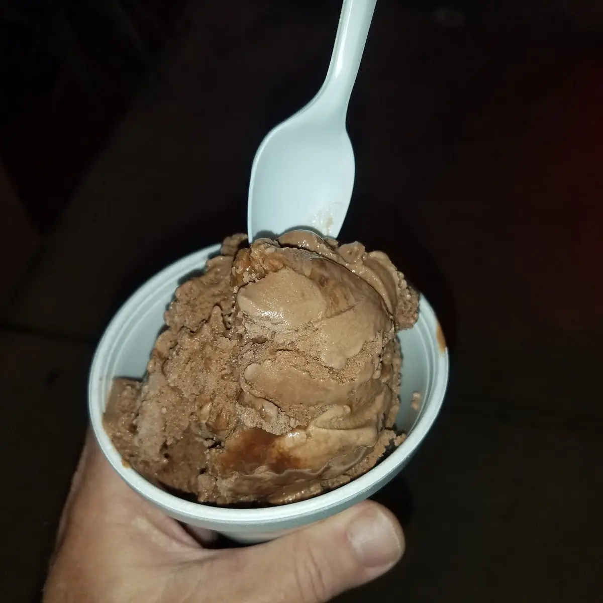 Chocolate Ice Cream