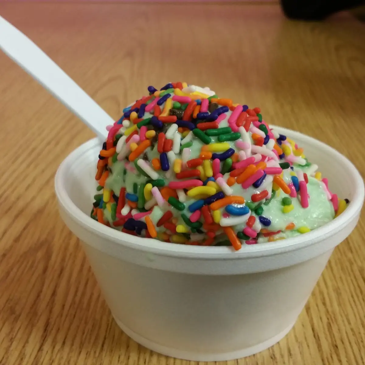 Mint Chocolate Chip Ice Cream