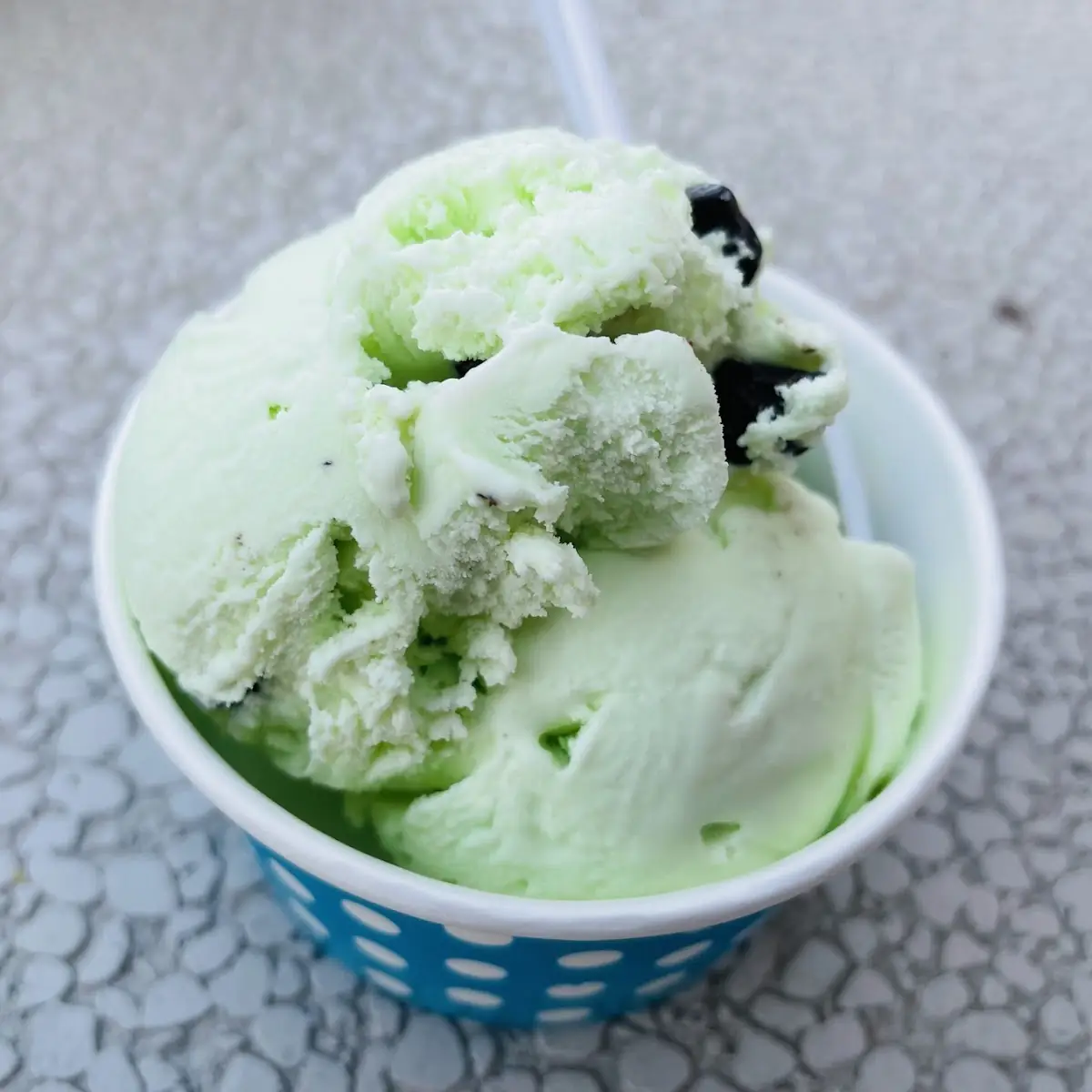 Mint Chocolate Chip