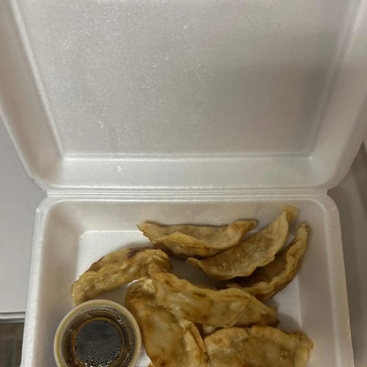 Pan-Fried Pork Dumplings with Sauce