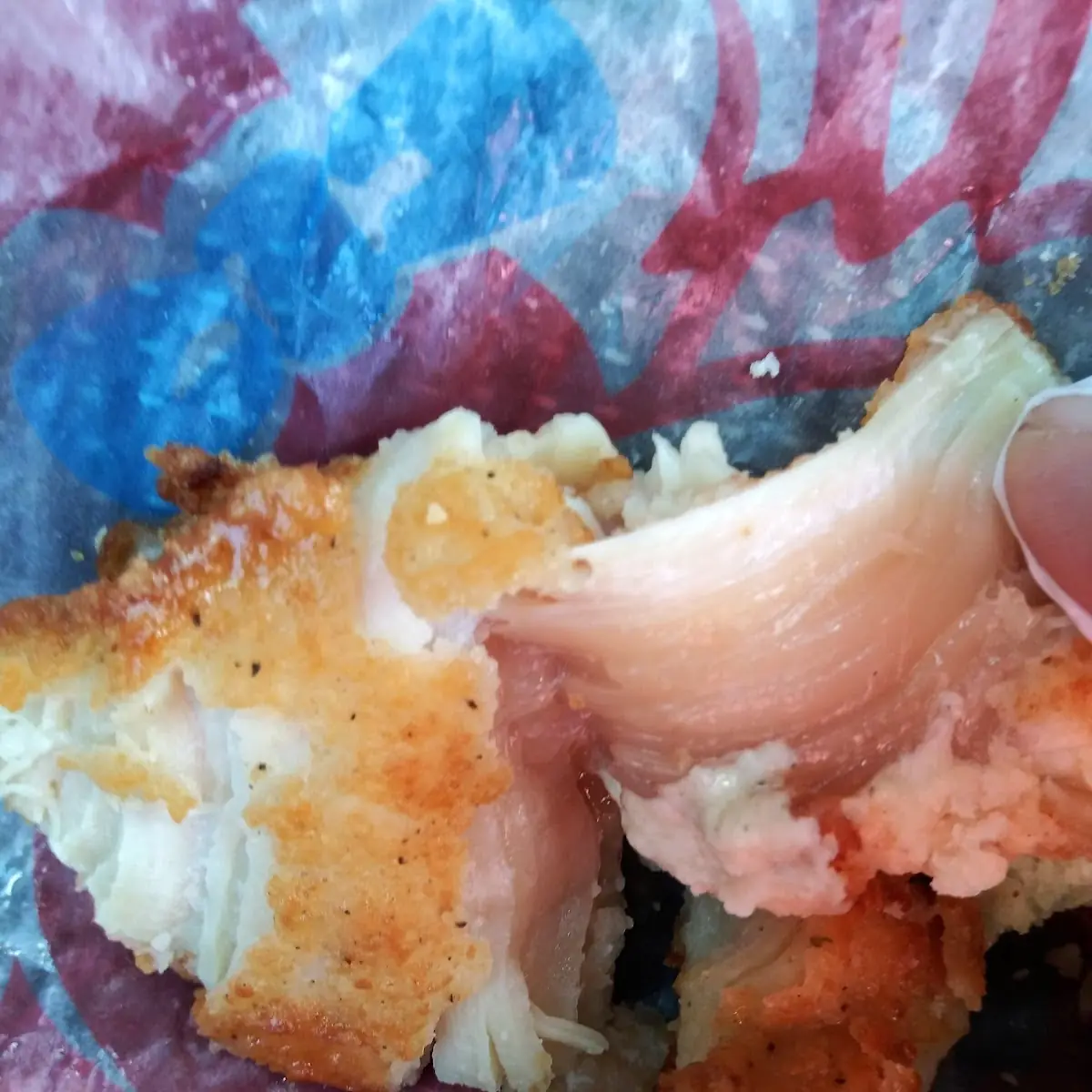 Raw Oysters