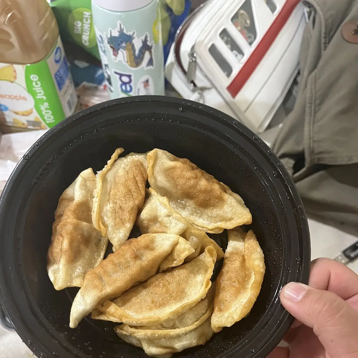 Fried Pork Dumplings