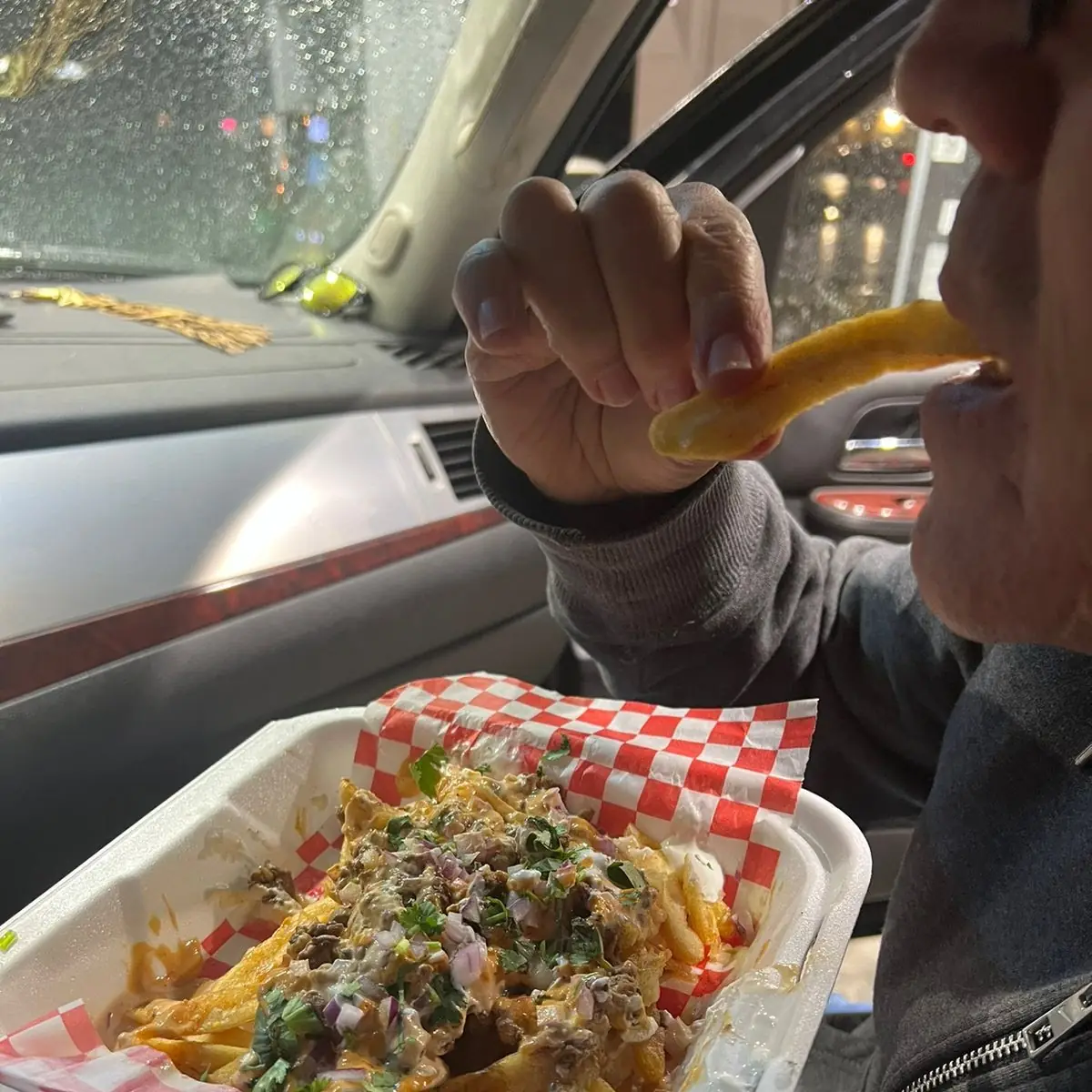 Loaded Fries