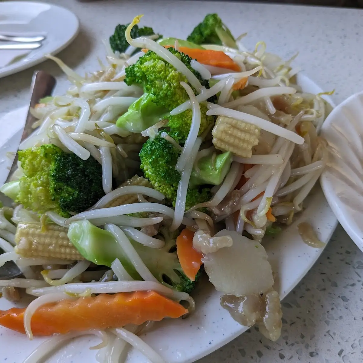Pork Chop Suey