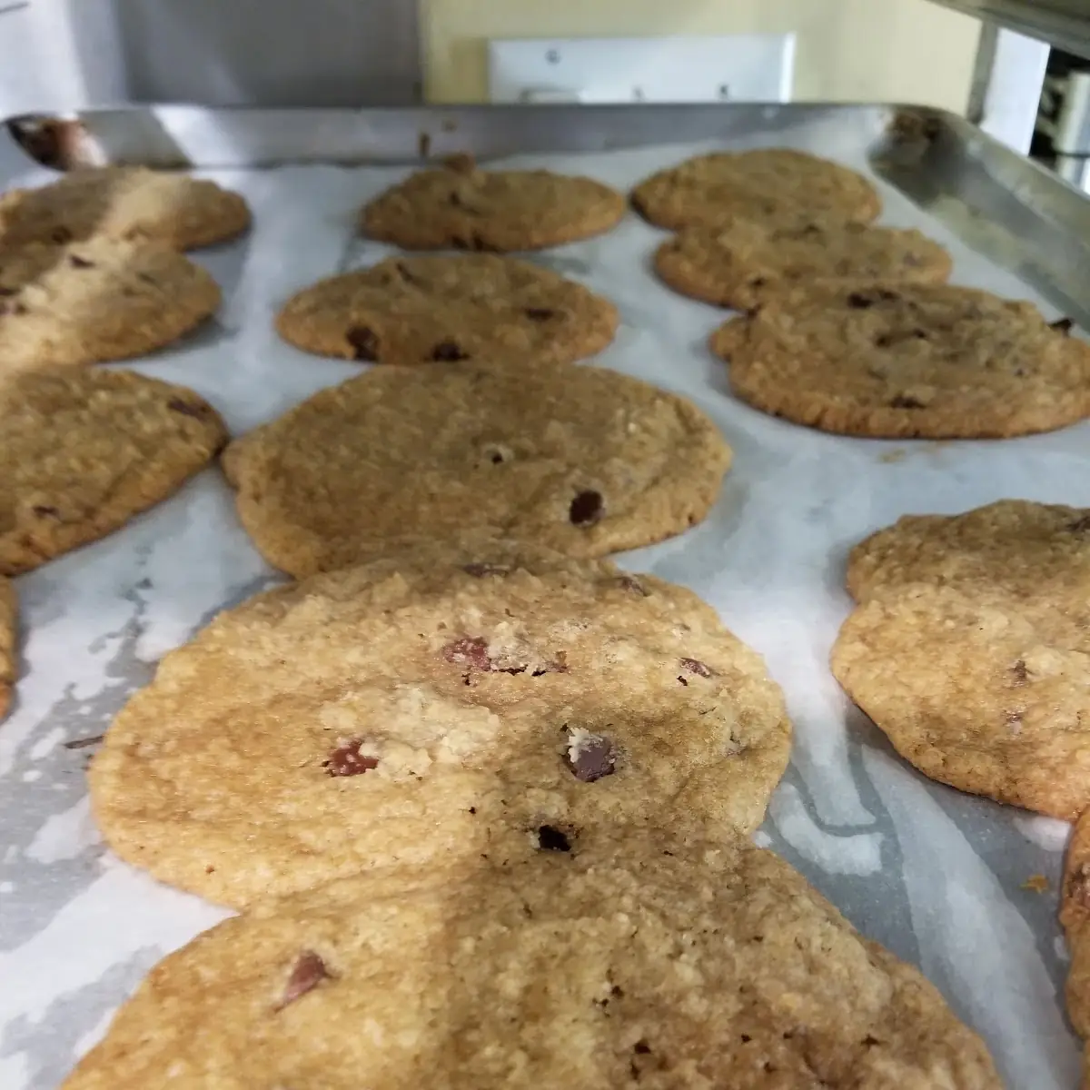 Fresh Chocolate Chip Cookies