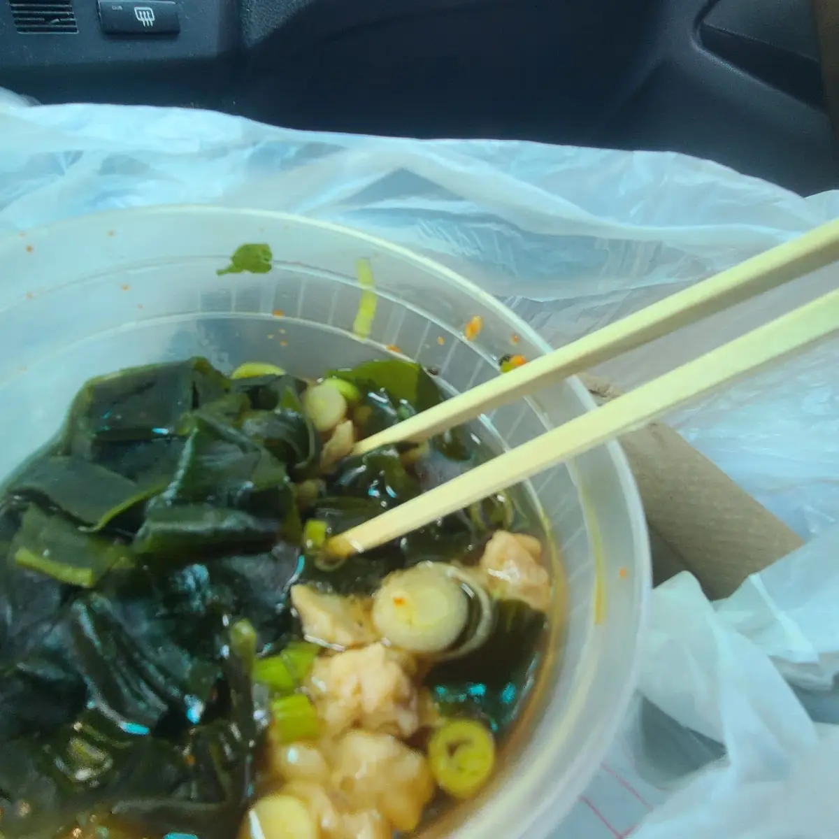 Chicken Udon Soup