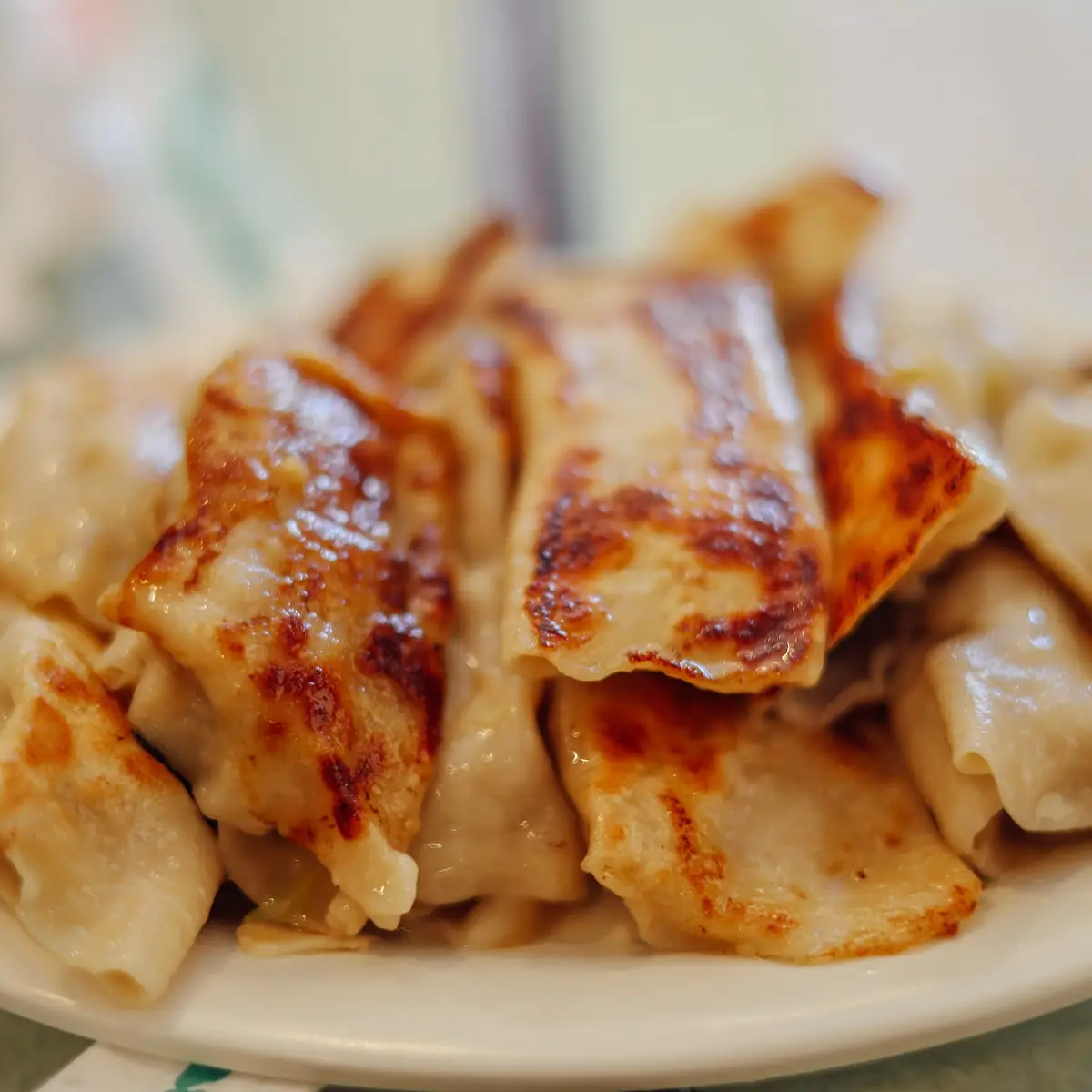 Pan Fried Pork Dumpling