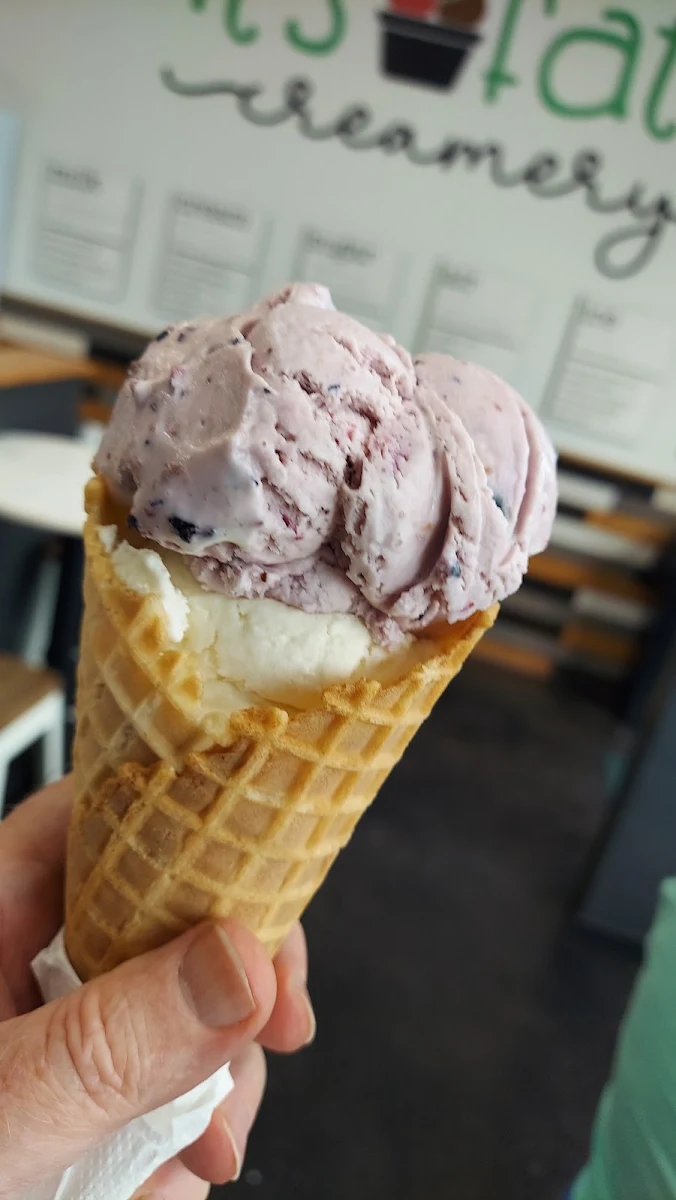 Triple Berry and Vanilla Ice Cream Cone