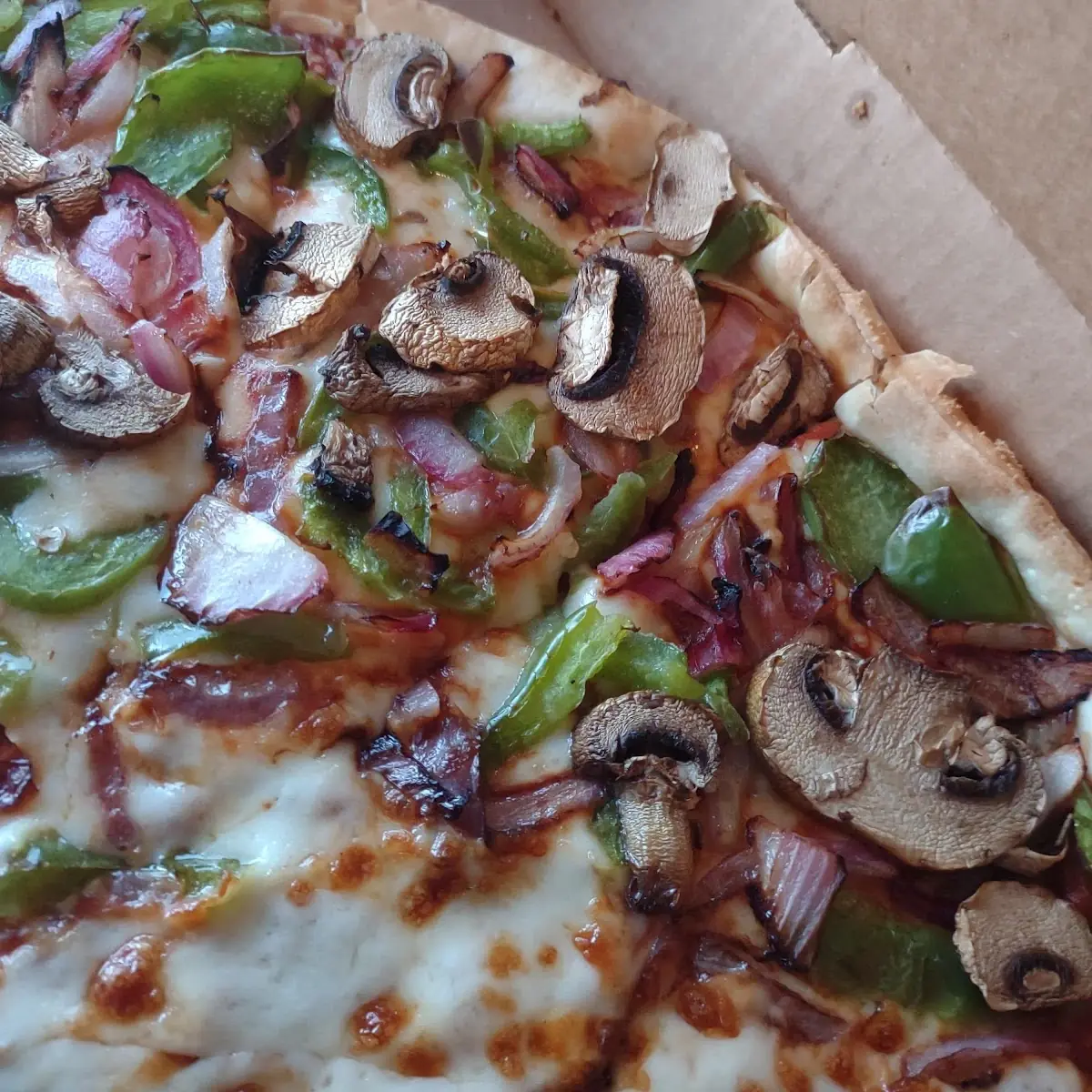 Thin Crust Veggie Pizza