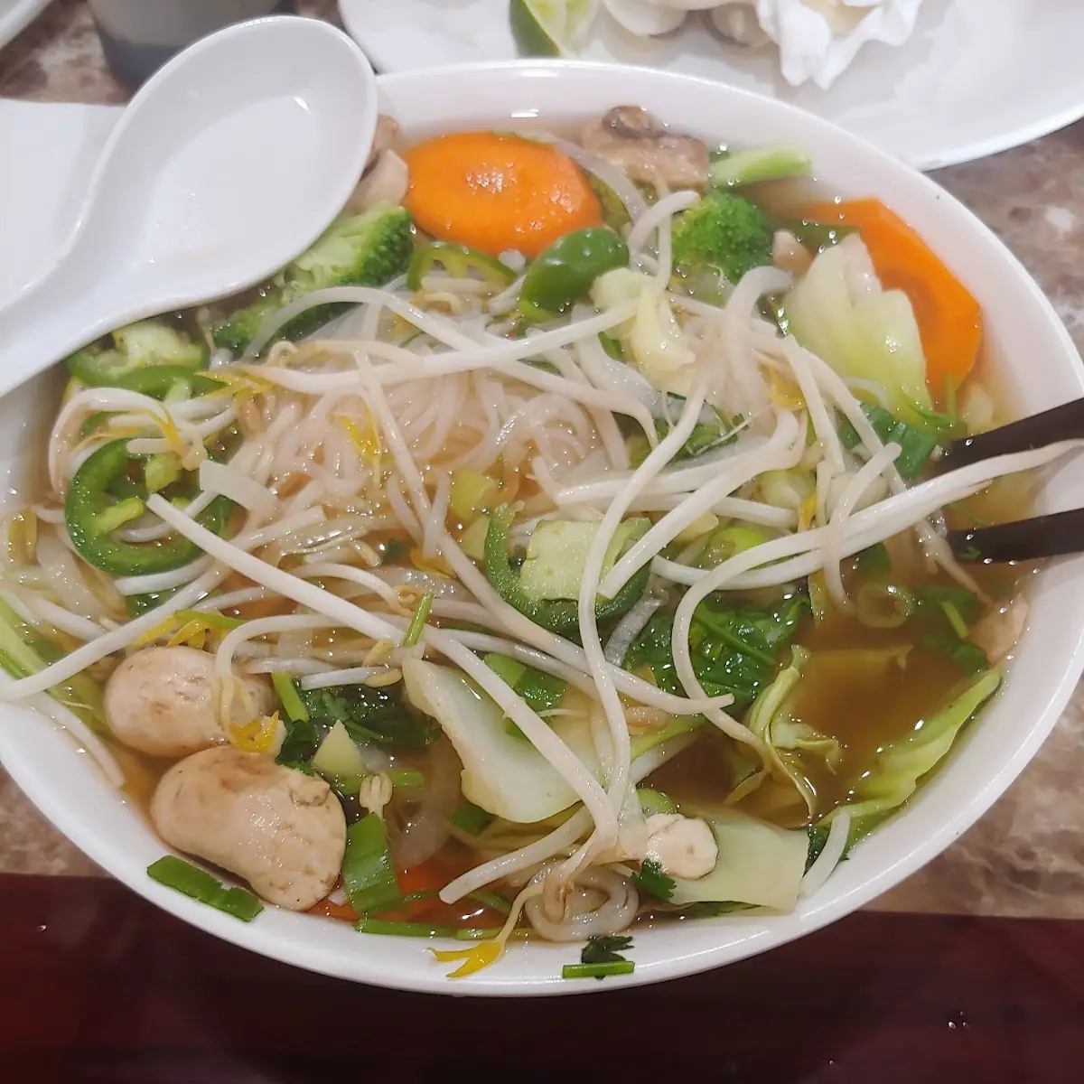 Vegetable Noodle Soup