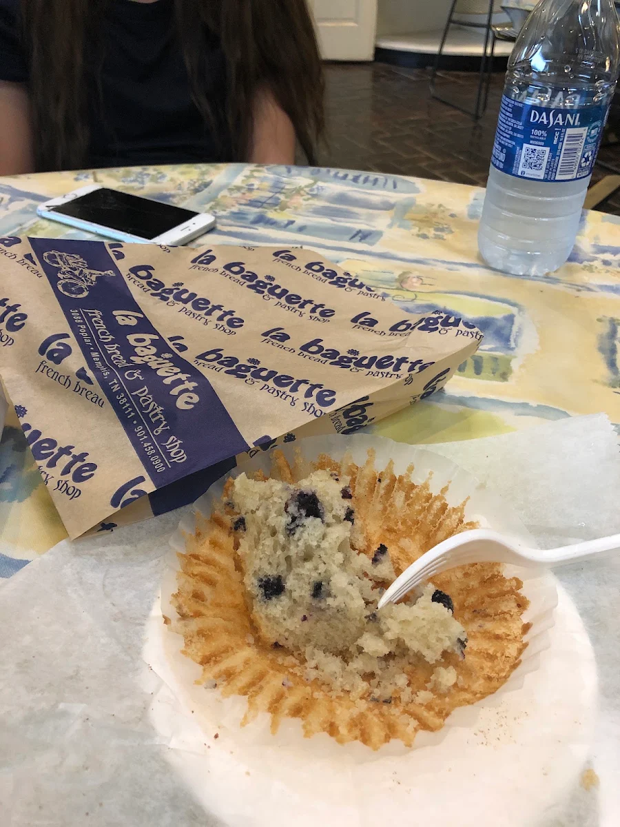 Blueberry Muffin