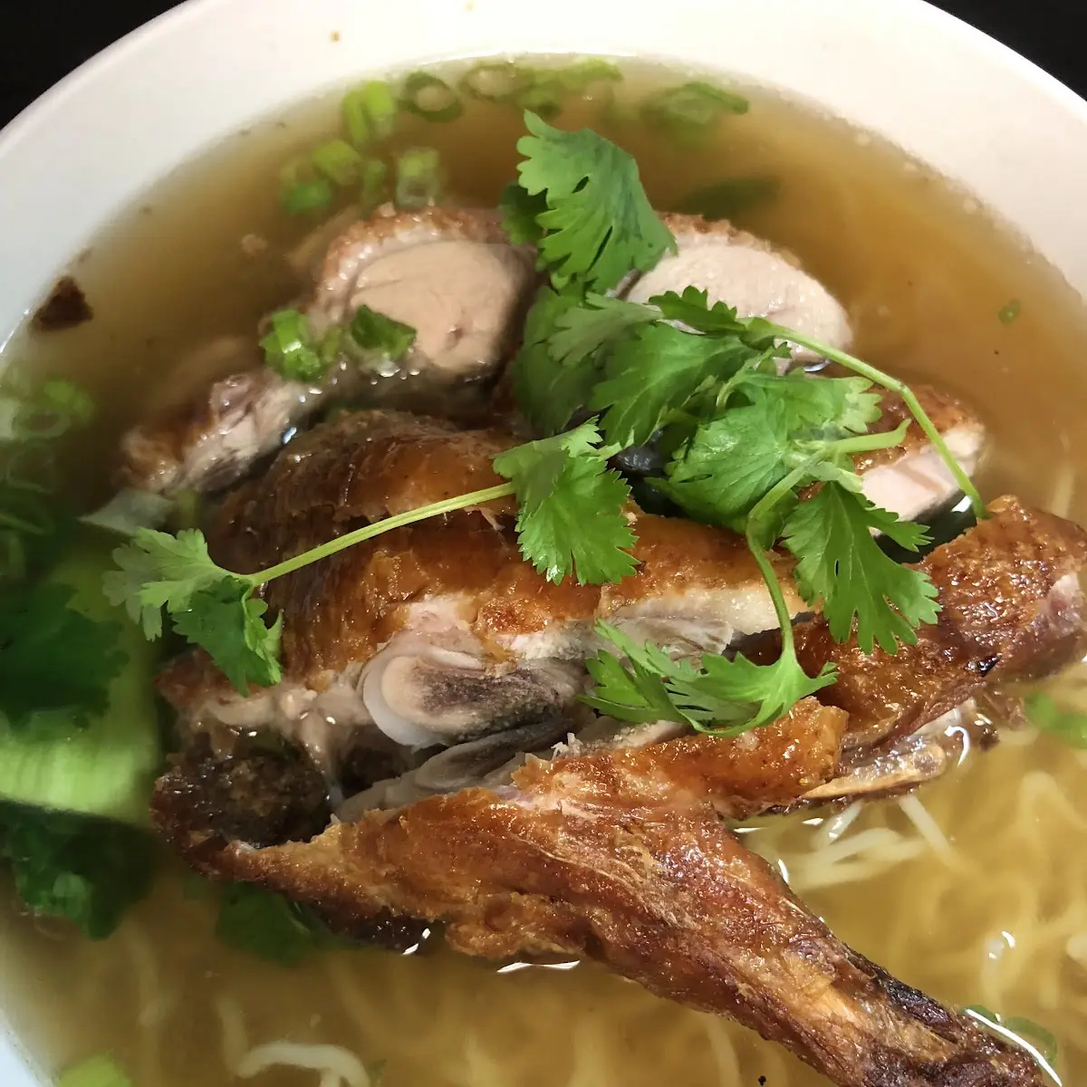 Roast Duck Noodle Soup