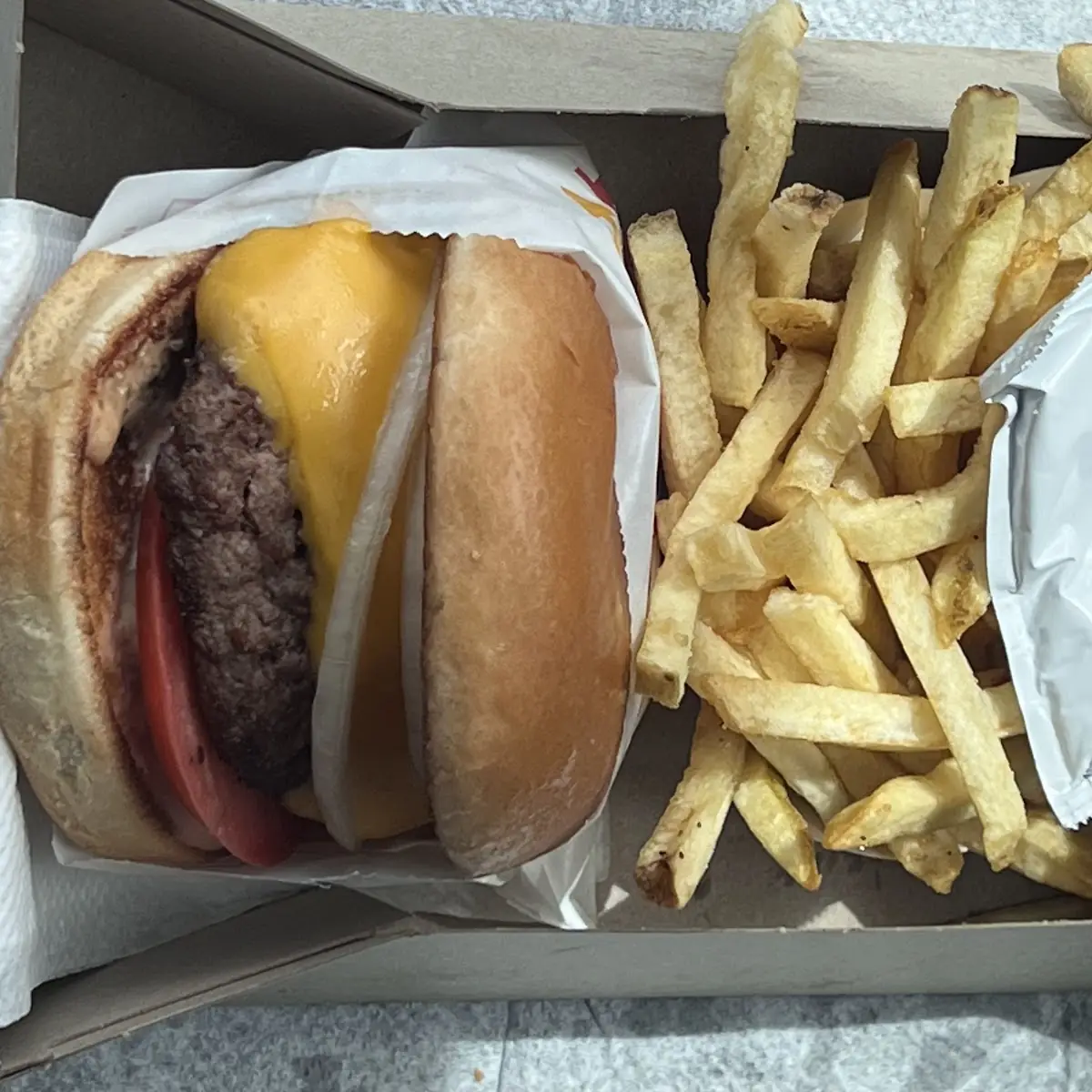 Cheese Burger and Fries