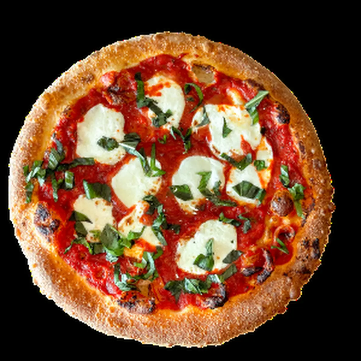 Pizza Margherita