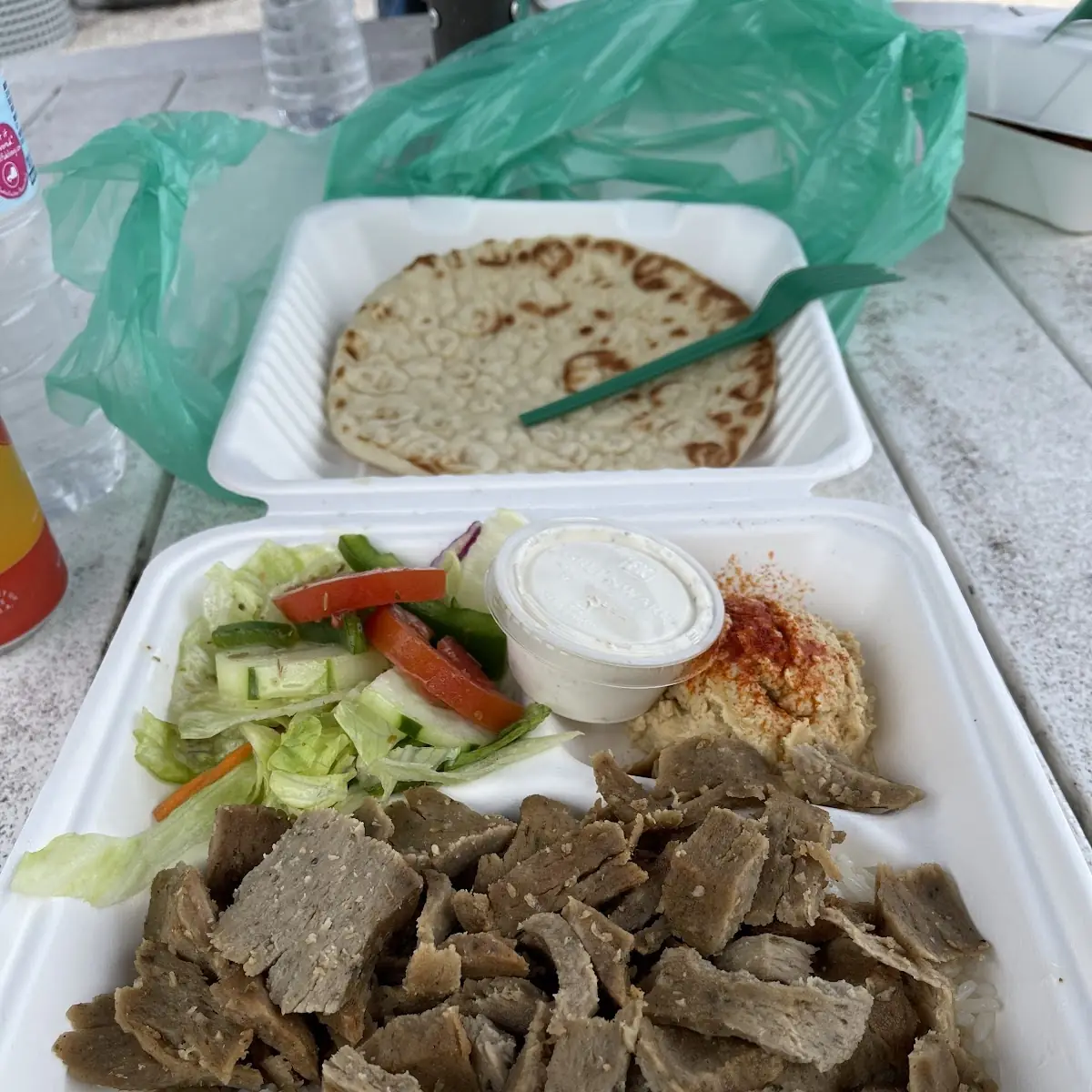 Gyro Platter