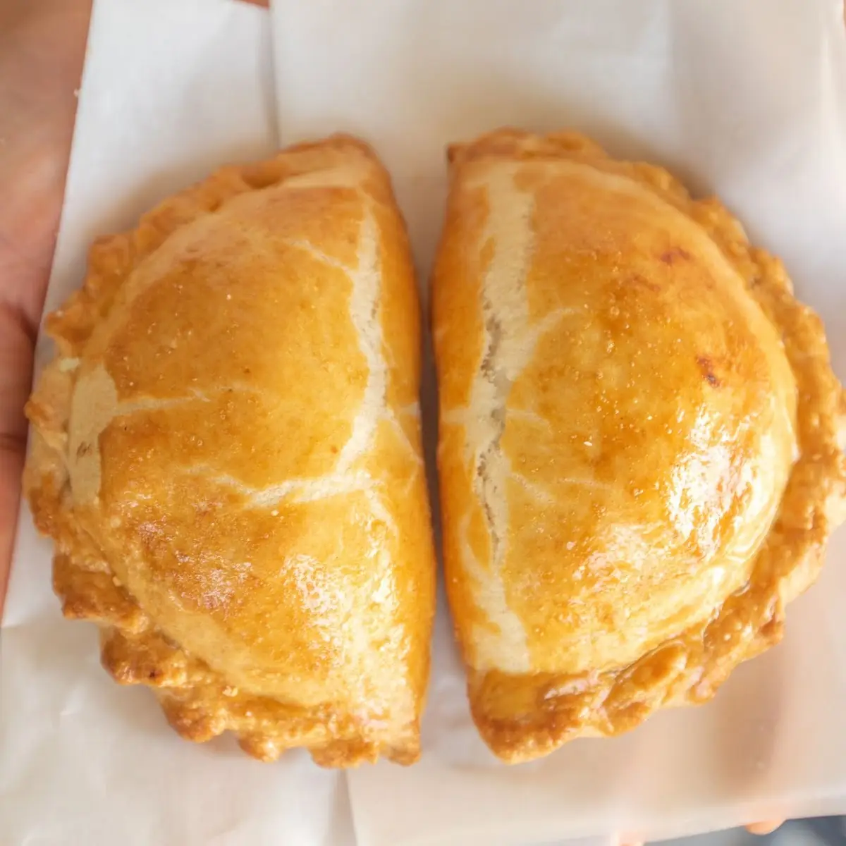 Chicken Empanada