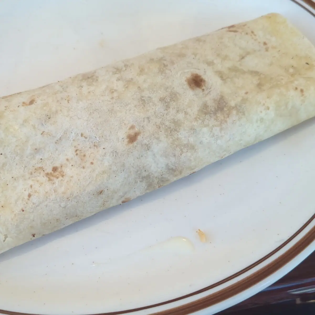 Shredded Chicken Burrito