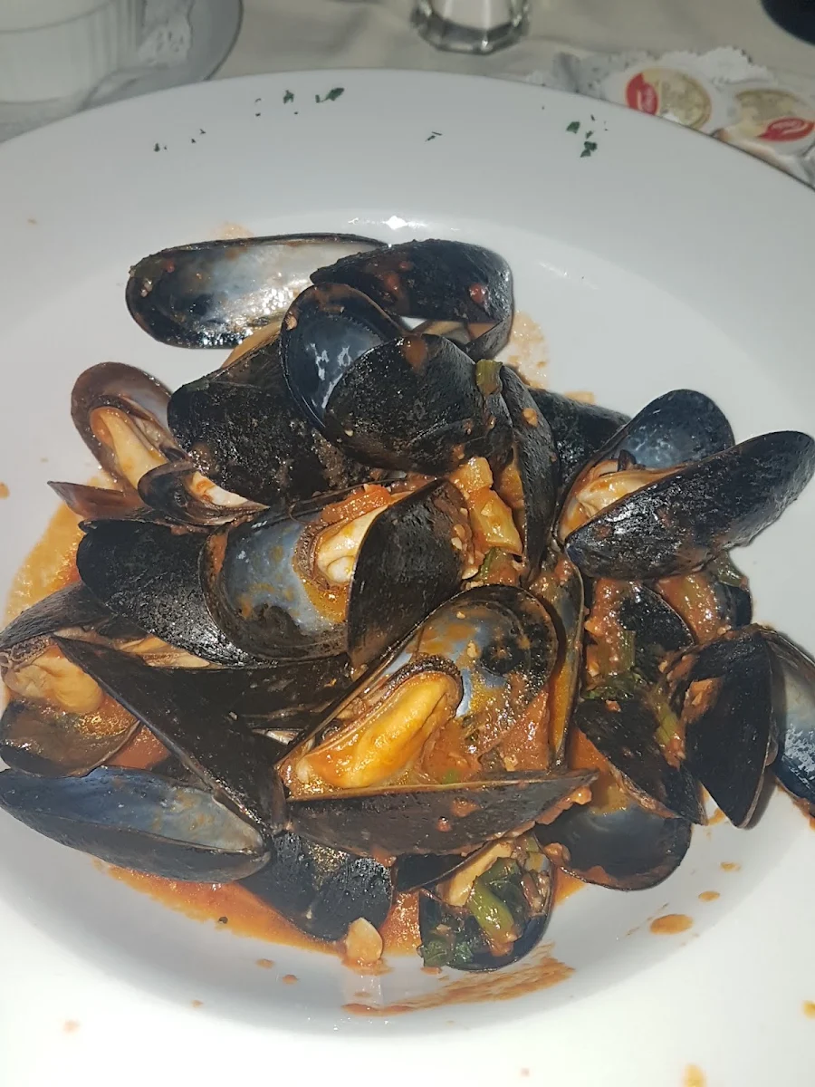 Mussels, Sorsi e Morsi