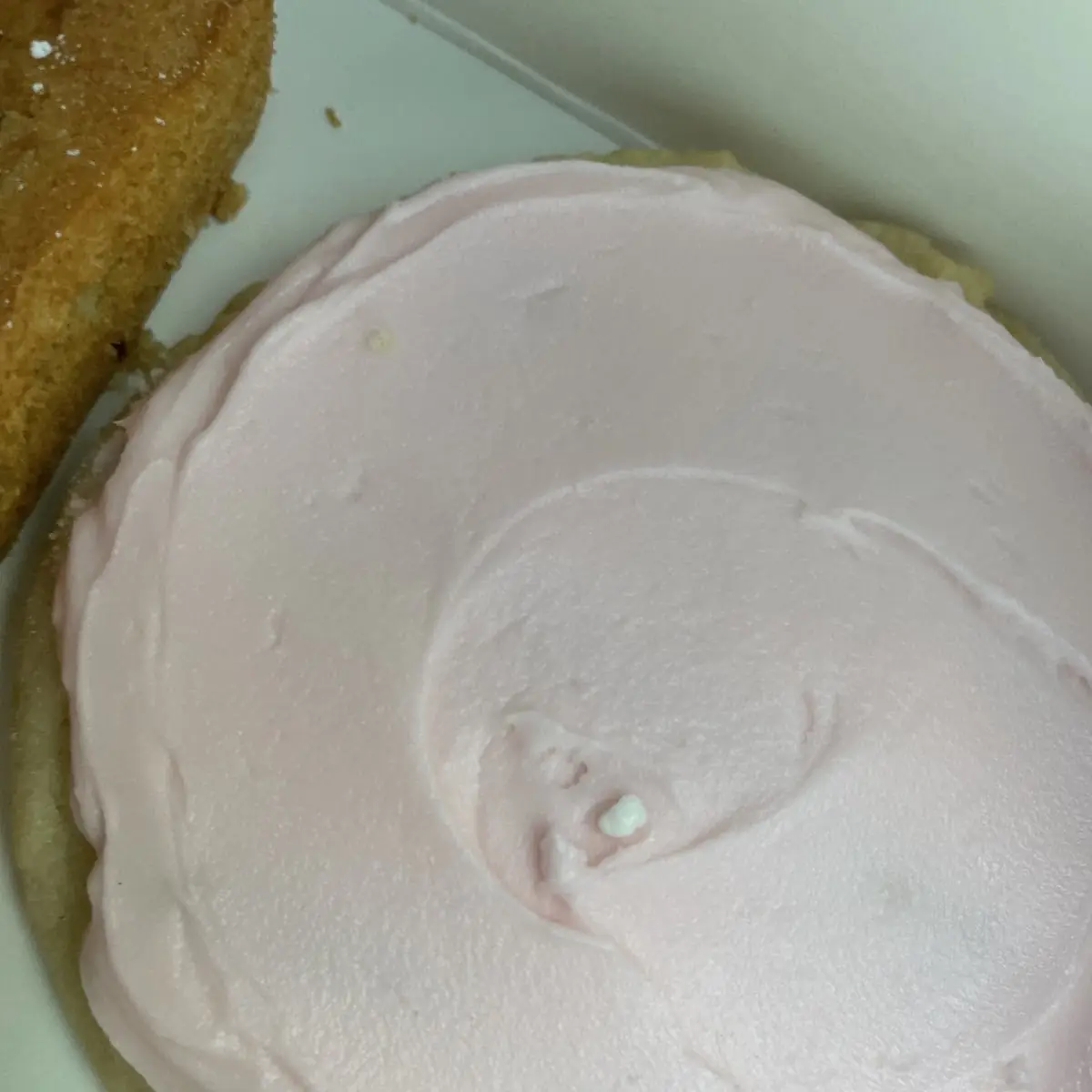 Frosted Sugar Cookie