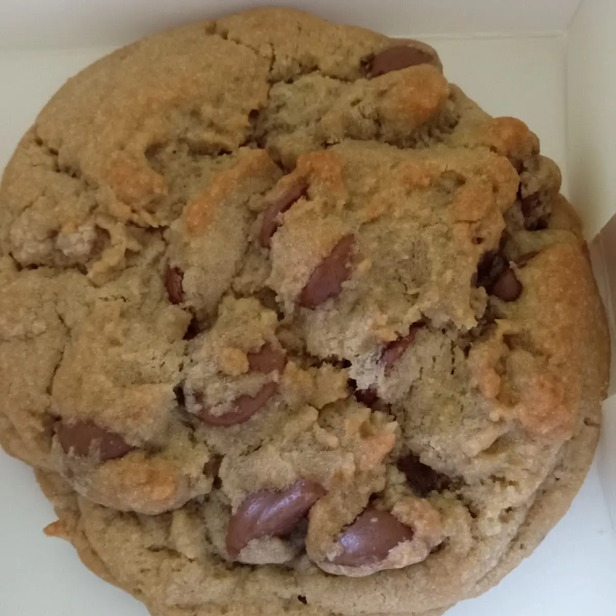 Milk Chocolate Chip